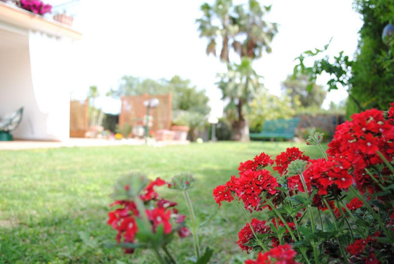 Villa Regina B&B Nettuno Kültér fotó